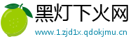 黑灯下火网